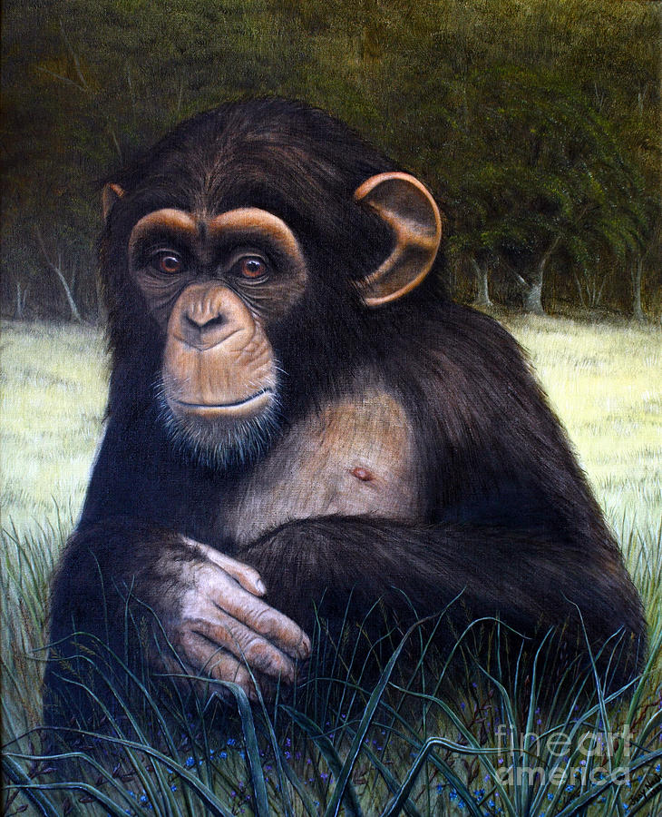 Wildlife Painting - Mona Chimp by Joey Nash