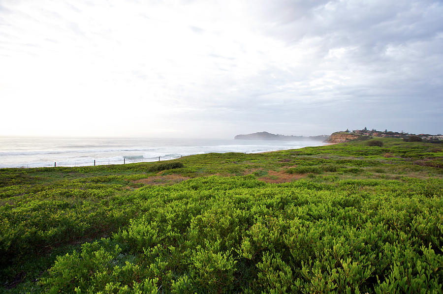 Mona Vale Beach, With Sea Mist Off Photograph by Oliver Strewe