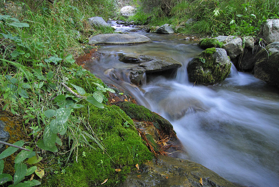 Monachil river Photograph by Guido Montanes Castillo | Fine Art America