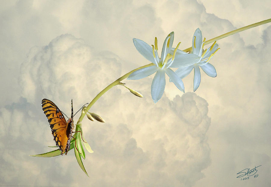 Monarch and Inflorescence Digital Art by M Spadecaller