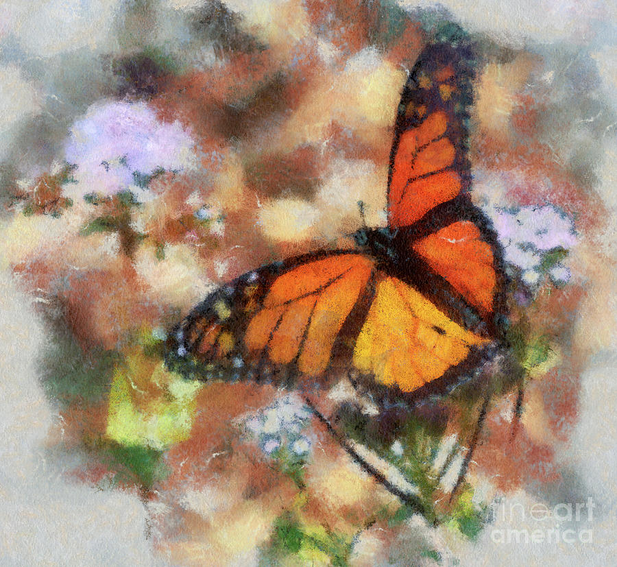Butterfly Photograph - Monarch Butterfly #2 by Kerri Farley