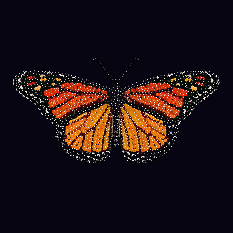 Monarch Butterfly Bedazzled Digital Art by R  Allen Swezey