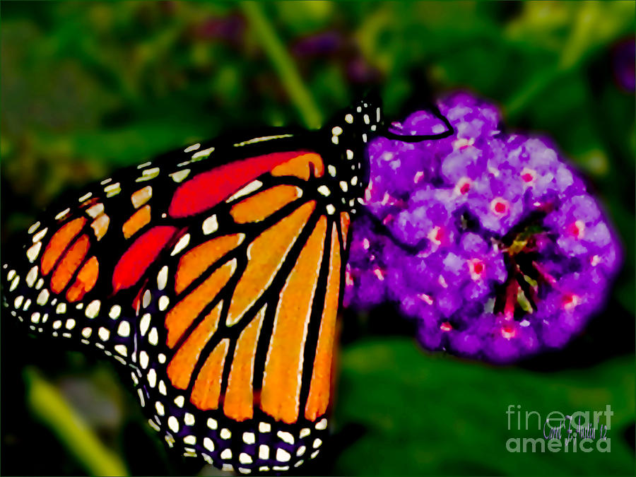 Monarch Butterfly  Photograph by Carol F Austin