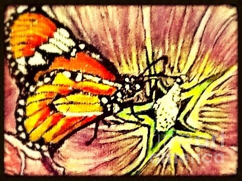 Monarch Butterfly Finds Star Power Painting by Kimberlee Baxter