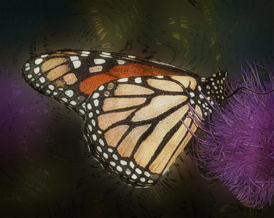 Butterfly Painting - Monarch Butterfly by Jack Zulli