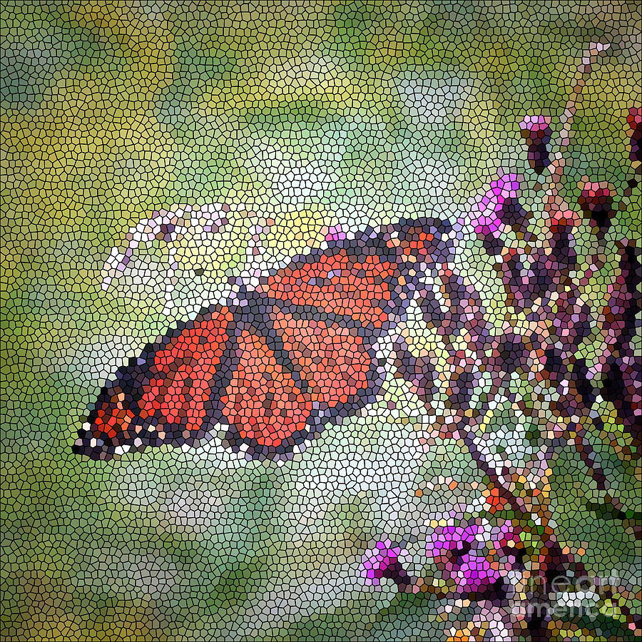 Monarch Butterfly Mosaic Photograph by Kerri Farley