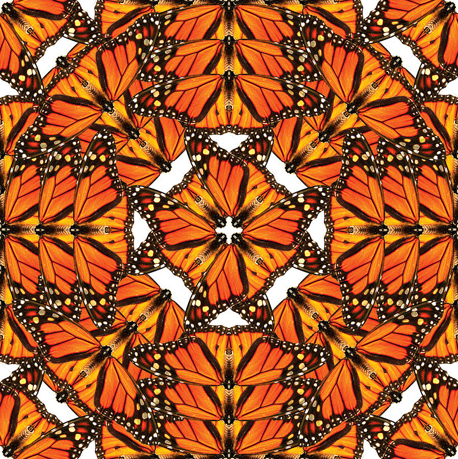 Monarch Butterfly Digital Art by Peaceful Spirit