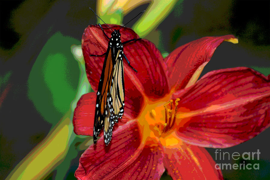 Monarch Lily Digital Art by Jack Ader