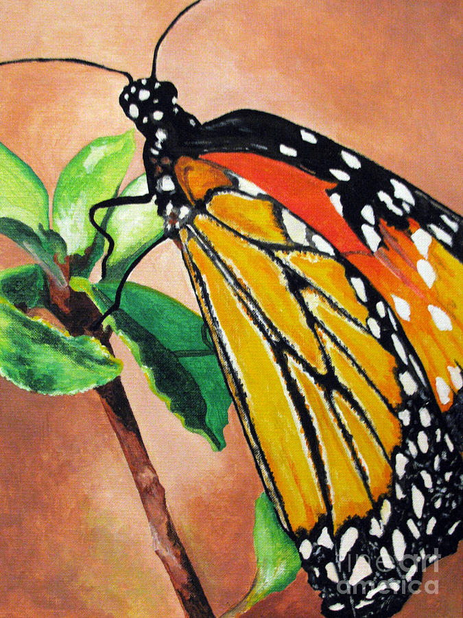 Monarch Painting by Nancie Johnson