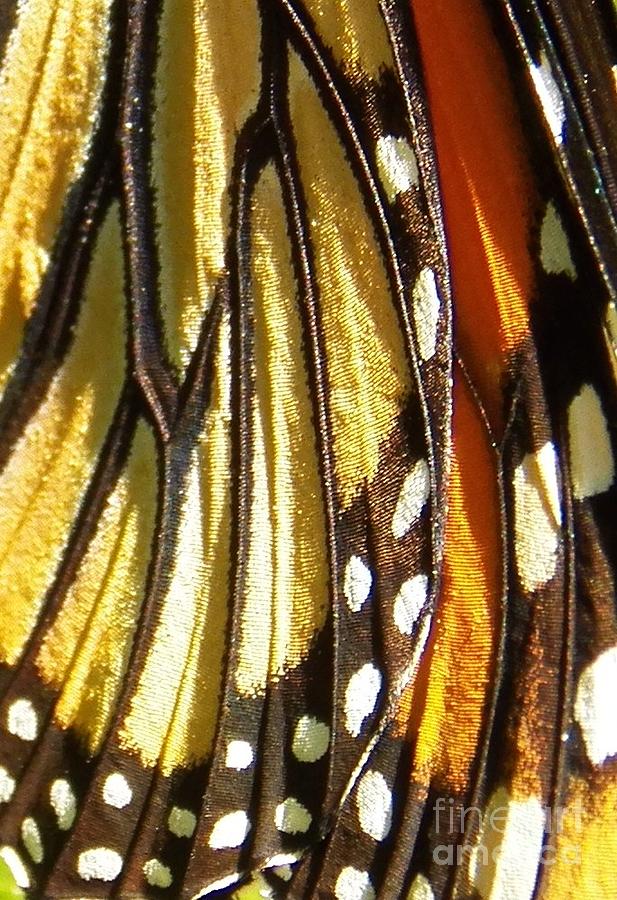 Monarch Wing Macro Photograph by Judy Via-Wolff