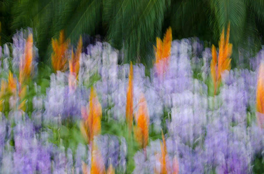 Monet Flowers Photograph by Georgette Grossman
