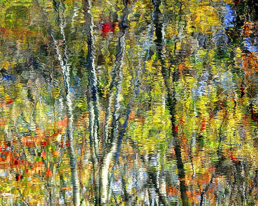 Monet Lives On Photograph by Frozen in Time Fine Art Photography
