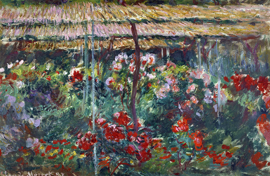 Monet Peony Garden, 1887 Painting by Granger