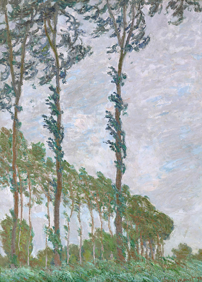 Monet Poplars, 1891 Painting by Granger