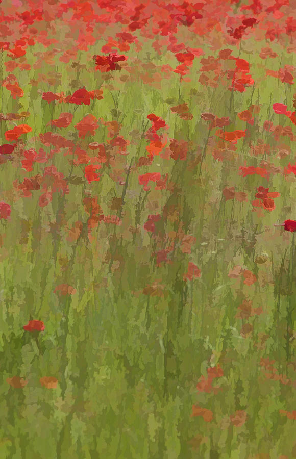 Monet Poppies II Photograph