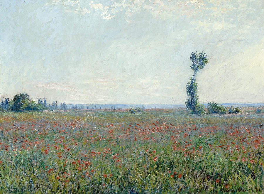 Monet Poppy Field, 1881 Painting by Granger