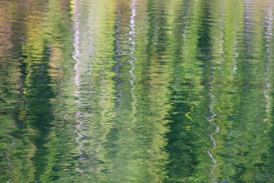 Monet Reflections 1 Photograph by James Knight