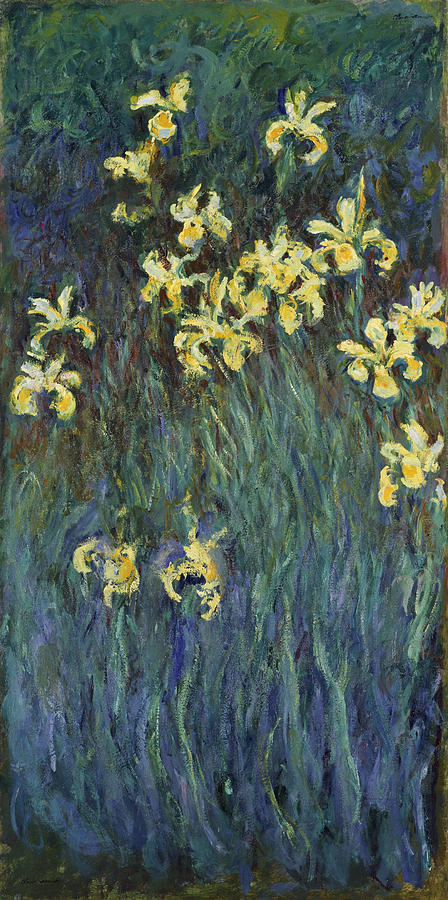 Monet Yellow Irises Painting by Granger