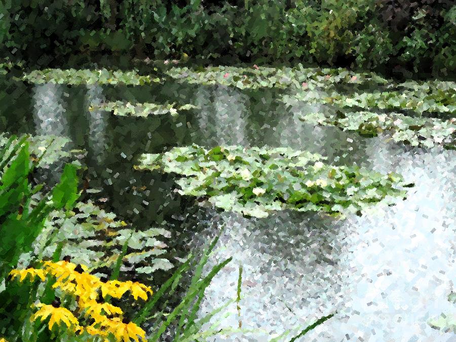Monets lily pond Photograph by Barbie Corbett-Newmin