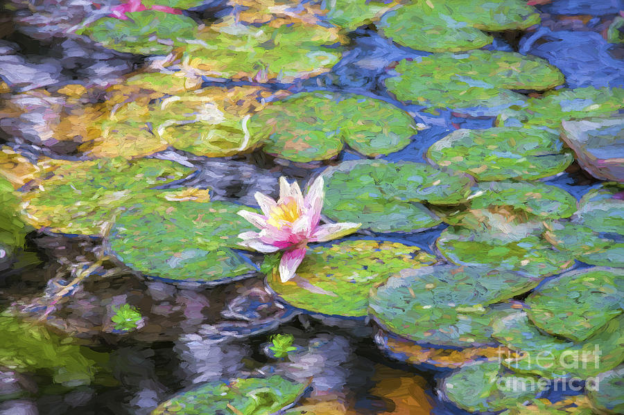 Monets lily Photograph by Sheila Smart Fine Art Photography