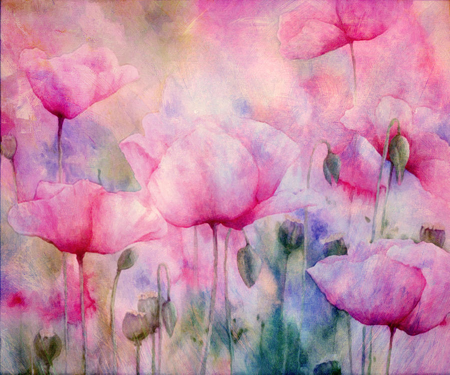 Poppy Painting - Monets Poppies Vintage Cool by Georgiana Romanovna