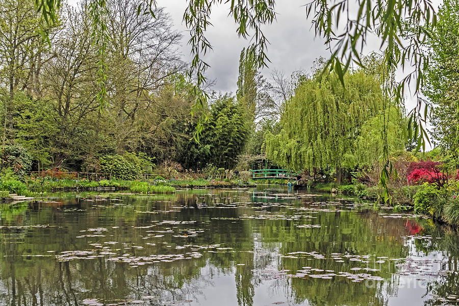Monets Water Garden Photograph