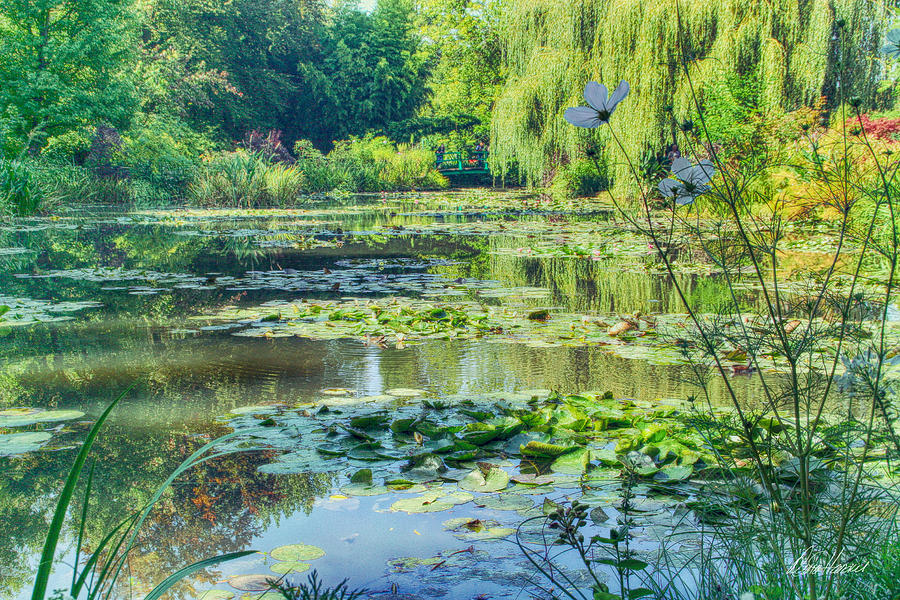 Monets Water Lily Garden Photograph by Diana Haronis
