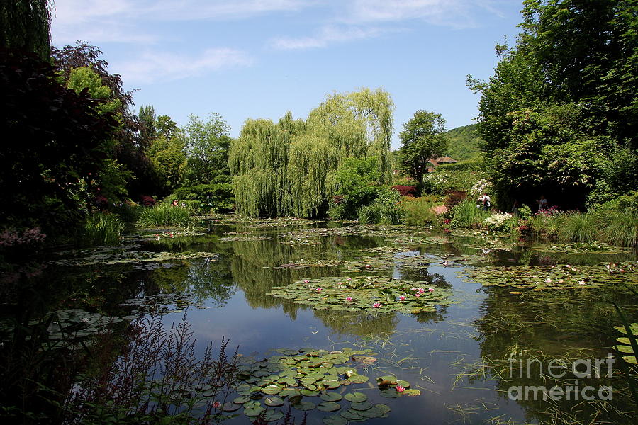 Claude Monet Photograph - Monets Waterlily Pond by Christiane Schulze Art And Photography