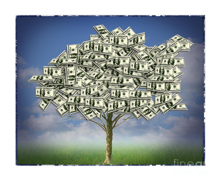 Money Tree Digital Art by Chris Van Es - Pixels