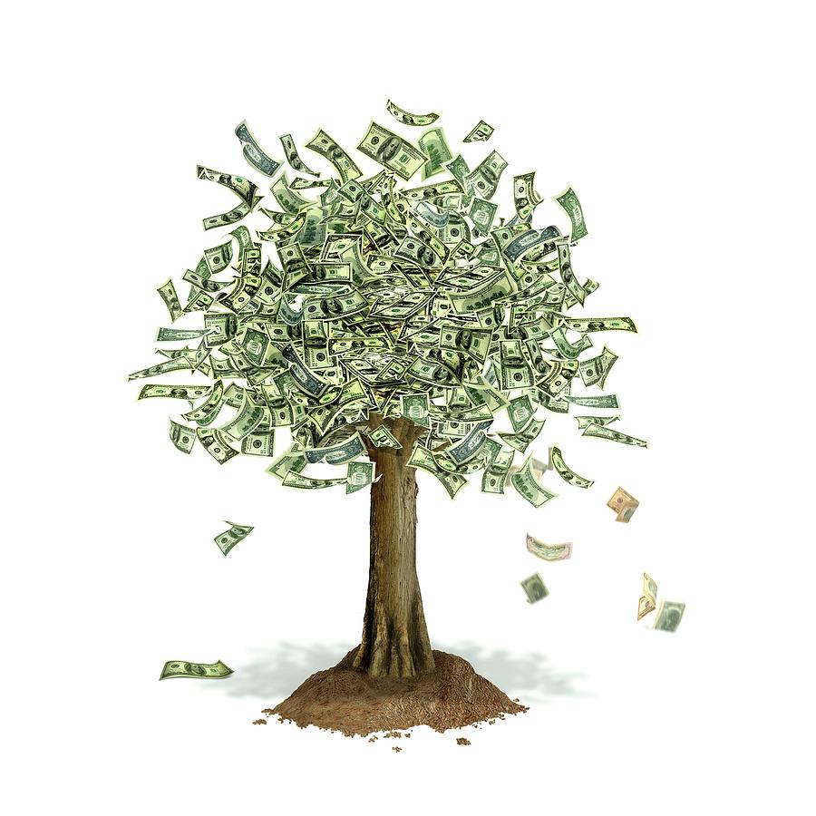 A money outlet tree