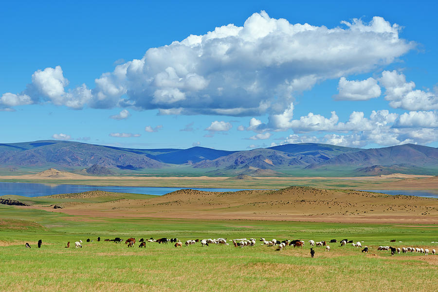 Mongolia,  Zavkhan Province, Khar Nuur Photograph by Tuul & Bruno Morandi