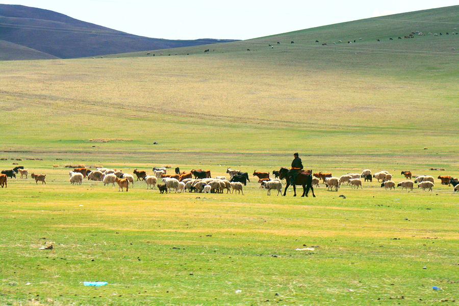 Mongolian herders Photograph by Niels Photography - Pixels