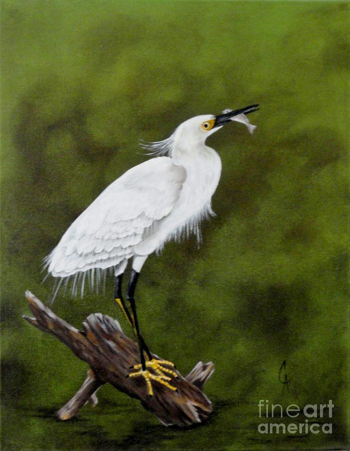 Monicas Snowy Egret Painting by Carol Avants