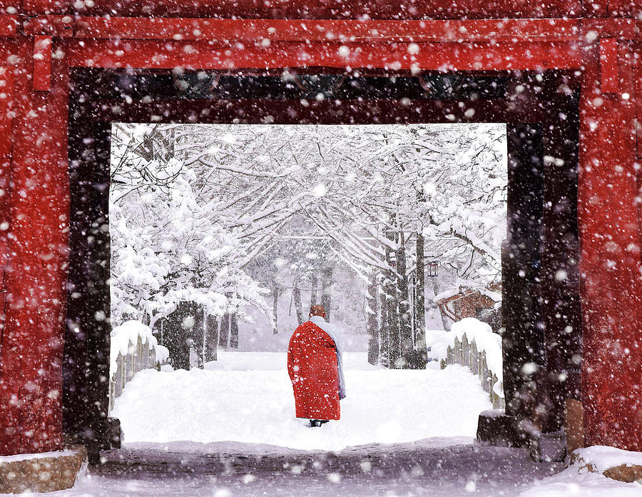 Red Photograph - Monk In Snowy Day by Bongok Namkoong