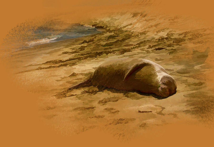 Monk Seal on the Beach Photograph by Gordon Engebretson