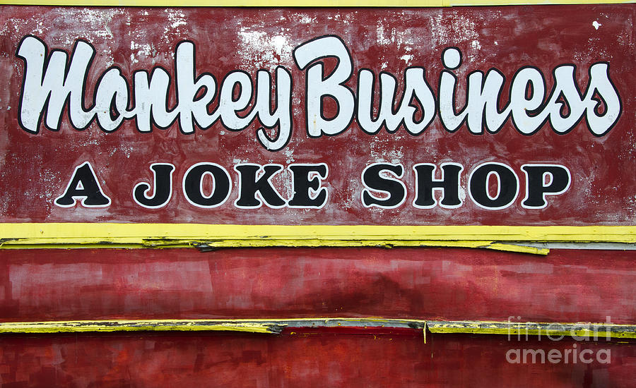 Monkey Business A Joke Shop Photograph by Bob Christopher