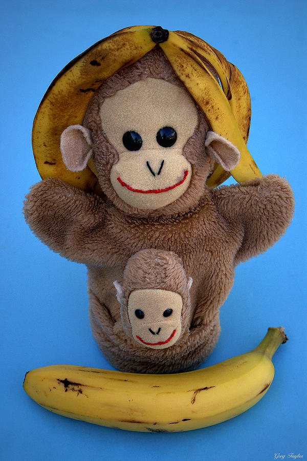 Monkey Photograph - Monkey Business by Greg Taylor