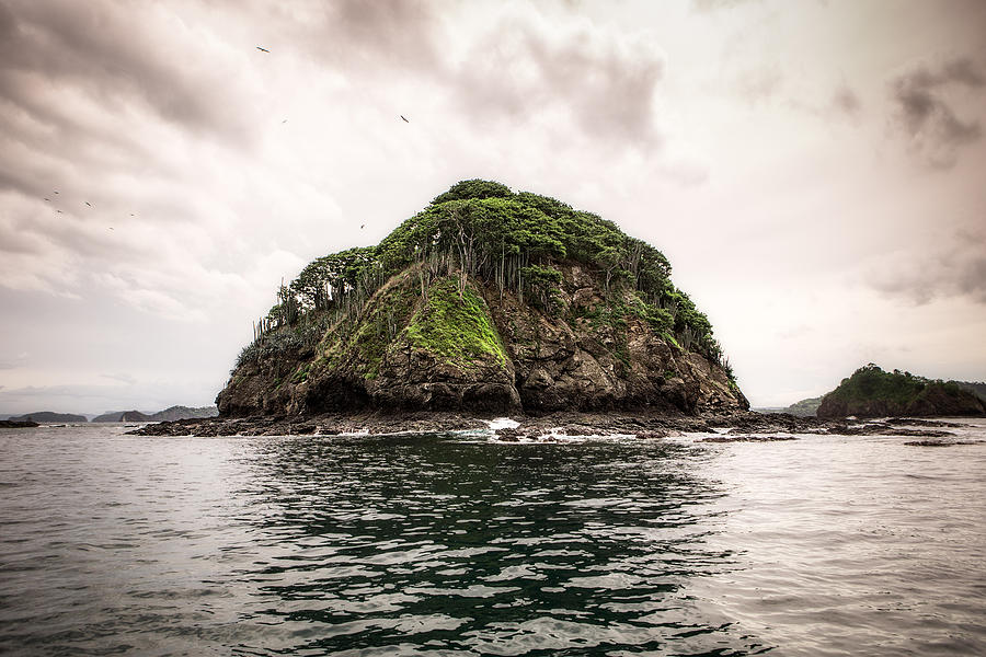 Monkey Head Island Photograph by Nick  Shirghio