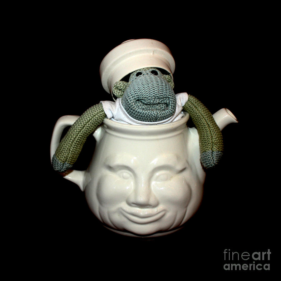 Monkey in a Tea Pot Photograph by Terri Waters