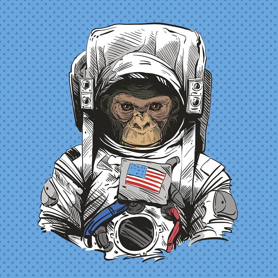 Monkey In Astronaut Suit. Hand Drawn Vector Illustration by Yakovliev
