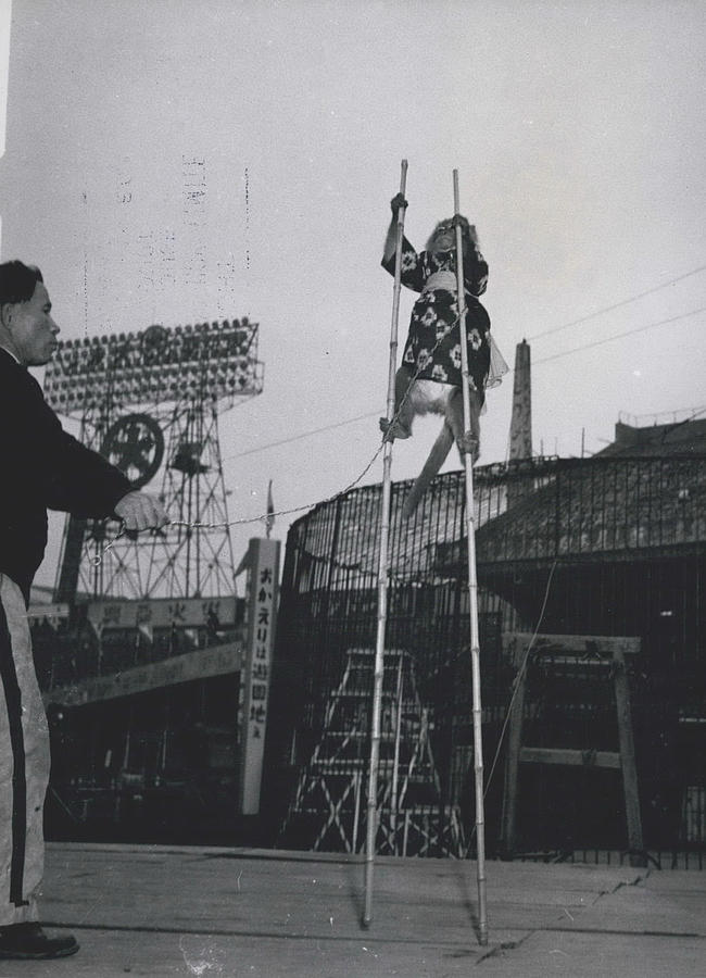 Monkey On Stilts Photograph by Retro Images Archive