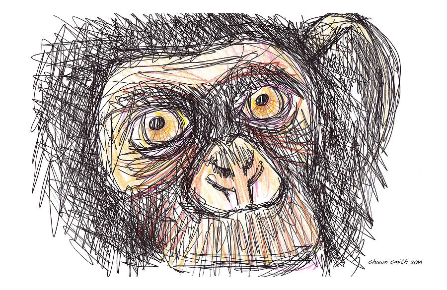 monkey drawings in pencil
