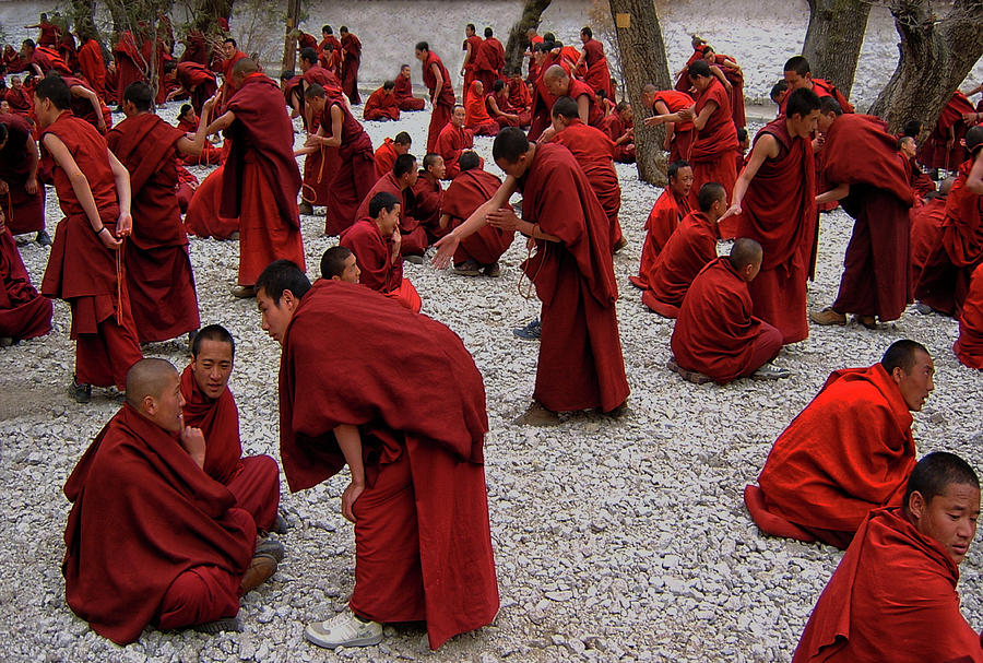 Monks Debating Photograph by Yvette Depaepe