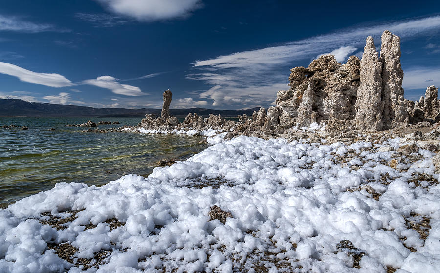 Nature Photograph - Mono Lake Foam by Cat Connor