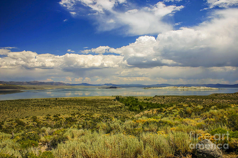 Mono lake in California Photograph by Patricia Hofmeester