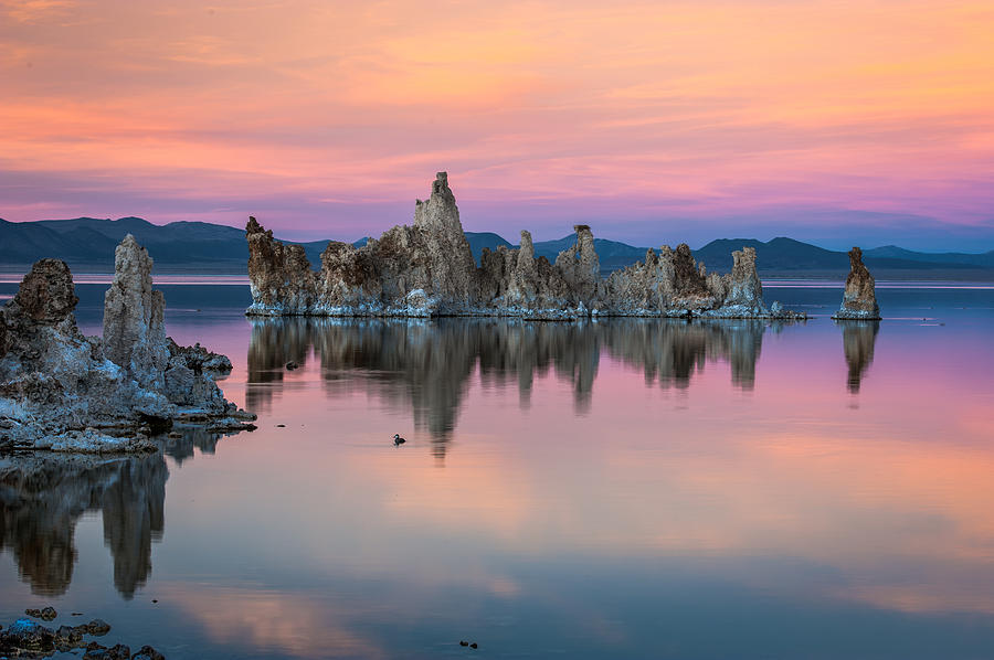 Mono lake reflections Photograph by David Bogard - Fine Art America