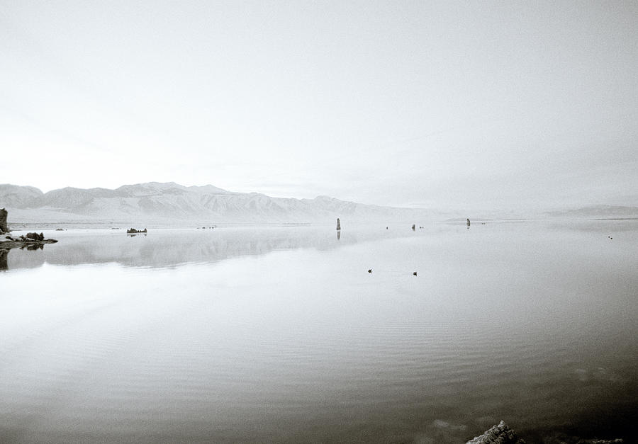 Mono Lake Serenity In California In the USA Photograph by Shaun Higson