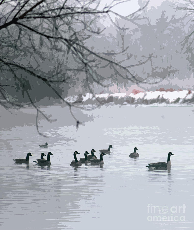 Monochromatic Geese Photograph by Debbie Hart