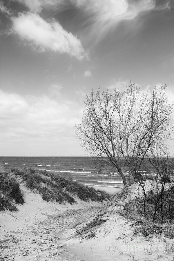 Monochrome Beach Walk Photograph by Anita Oakley