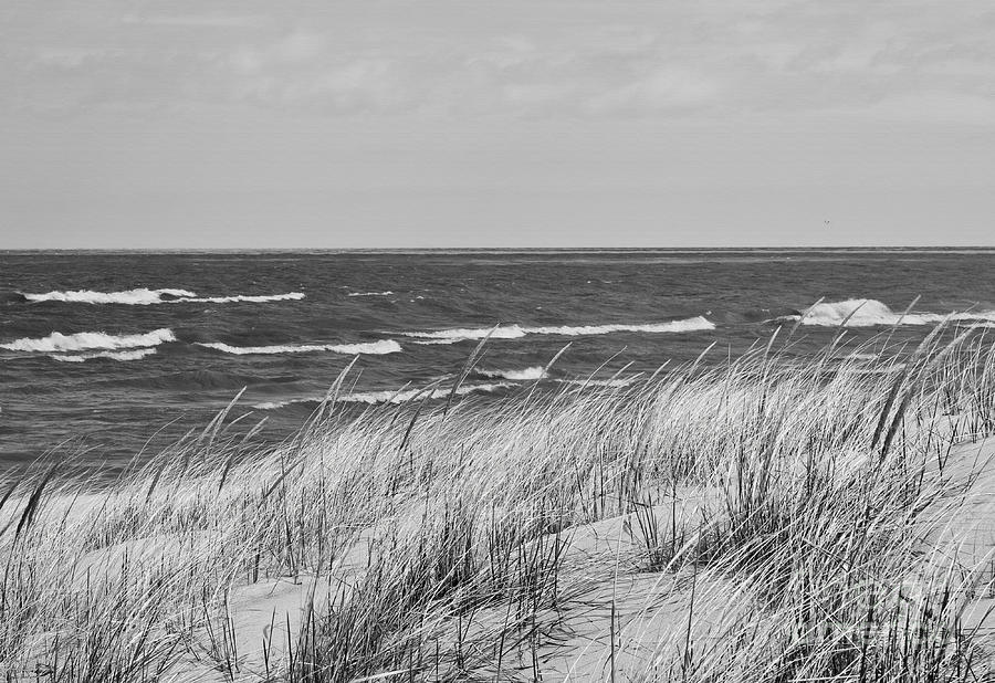 Monochrome Beach Walk II Photograph by Anita Oakley